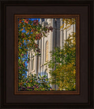 Load image into Gallery viewer, Salt Lake City Temple His Declaration