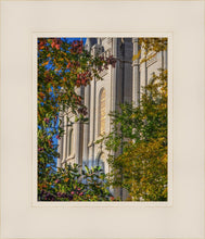 Load image into Gallery viewer, Salt Lake City Temple His Declaration