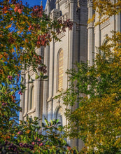 Load image into Gallery viewer, Salt Lake City Temple His Declaration Gallery Wrap
