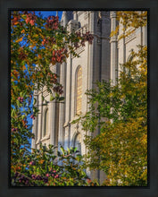 Load image into Gallery viewer, Salt Lake City Temple His Declaration Gallery Wrap