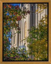 Load image into Gallery viewer, Salt Lake City Temple His Declaration Gallery Wrap