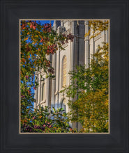 Load image into Gallery viewer, Salt Lake City Temple His Declaration