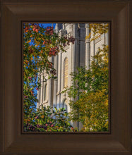 Load image into Gallery viewer, Salt Lake City Temple His Declaration