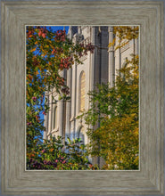 Load image into Gallery viewer, Salt Lake City Temple His Declaration