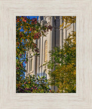 Load image into Gallery viewer, Salt Lake City Temple His Declaration