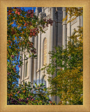 Load image into Gallery viewer, Salt Lake City Temple His Declaration