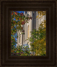 Load image into Gallery viewer, Salt Lake City Temple His Declaration