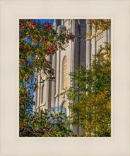 Load image into Gallery viewer, Salt Lake City Temple His Declaration