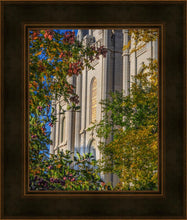 Load image into Gallery viewer, Salt Lake City Temple His Declaration