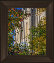 Load image into Gallery viewer, Salt Lake City Temple His Declaration