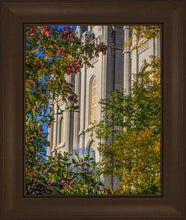 Load image into Gallery viewer, Salt Lake City Temple His Declaration