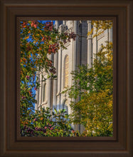 Load image into Gallery viewer, Salt Lake City Temple His Declaration