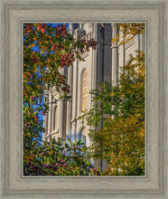Load image into Gallery viewer, Salt Lake City Temple His Declaration