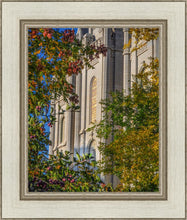 Load image into Gallery viewer, Salt Lake City Temple His Declaration