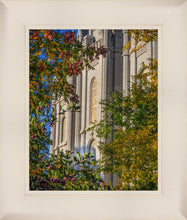 Load image into Gallery viewer, Salt Lake City Temple His Declaration
