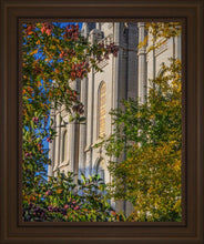 Load image into Gallery viewer, Salt Lake City Temple His Declaration