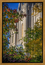 Load image into Gallery viewer, Salt Lake City Temple His Declaration Gallery Wrap
