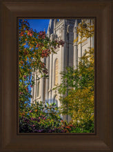 Load image into Gallery viewer, Salt Lake City Temple His Declaration