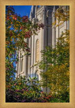 Load image into Gallery viewer, Salt Lake City Temple His Declaration