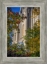 Load image into Gallery viewer, Salt Lake City Temple His Declaration