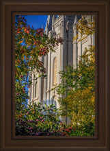 Load image into Gallery viewer, Salt Lake City Temple His Declaration