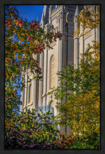 Load image into Gallery viewer, Salt Lake City Temple His Declaration Gallery Wrap