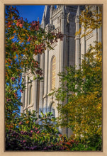 Load image into Gallery viewer, Salt Lake City Temple His Declaration Gallery Wrap