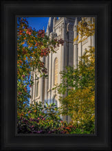 Load image into Gallery viewer, Salt Lake City Temple His Declaration