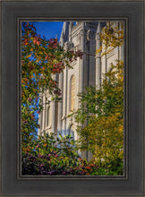 Load image into Gallery viewer, Salt Lake City Temple His Declaration