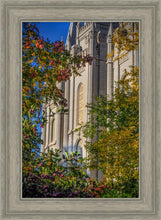 Load image into Gallery viewer, Salt Lake City Temple His Declaration
