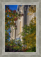 Load image into Gallery viewer, Salt Lake City Temple His Declaration
