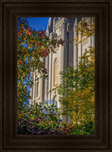 Load image into Gallery viewer, Salt Lake City Temple His Declaration