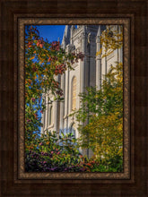 Load image into Gallery viewer, Salt Lake City Temple His Declaration