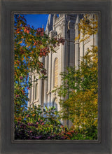 Load image into Gallery viewer, Salt Lake City Temple His Declaration