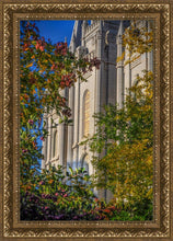 Load image into Gallery viewer, Salt Lake City Temple His Declaration