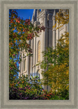 Load image into Gallery viewer, Salt Lake City Temple His Declaration