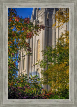 Load image into Gallery viewer, Salt Lake City Temple His Declaration