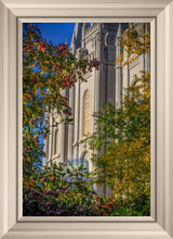 Load image into Gallery viewer, Salt Lake City Temple His Declaration