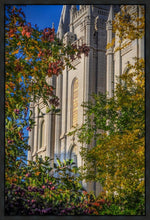 Load image into Gallery viewer, Salt Lake City Temple His Declaration Gallery Wrap