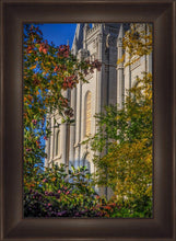 Load image into Gallery viewer, Salt Lake City Temple His Declaration