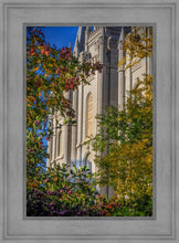 Load image into Gallery viewer, Salt Lake City Temple His Declaration