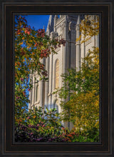 Load image into Gallery viewer, Salt Lake City Temple His Declaration