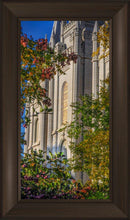 Load image into Gallery viewer, Salt Lake City Temple His Declaration