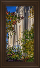 Load image into Gallery viewer, Salt Lake City Temple His Declaration
