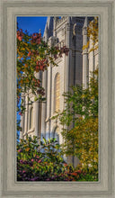 Load image into Gallery viewer, Salt Lake City Temple His Declaration