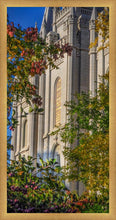 Load image into Gallery viewer, Salt Lake City Temple His Declaration