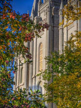 Load image into Gallery viewer, Salt Lake City Temple His Declaration