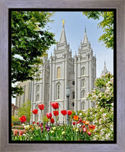 Load image into Gallery viewer, Salt Lake City Temple June - God Is the Gardner Gallery Wrap