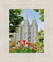 Load image into Gallery viewer, Salt Lake City Temple June - God Is the Gardner