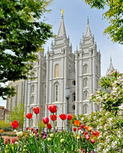 Load image into Gallery viewer, Salt Lake City Temple June - God Is the Gardner